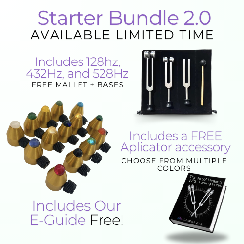 Starter Bundle 2.0